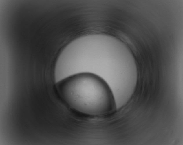 X0000096990362200802080924