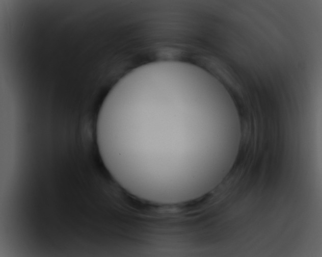 X0000096990363200802080924
