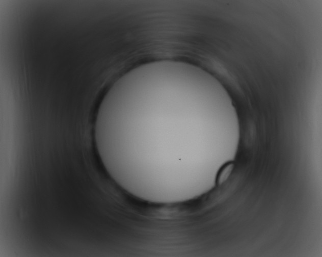 X0000096990366200802080924
