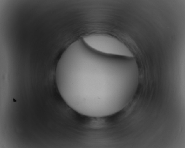 X0000096990369200802080924