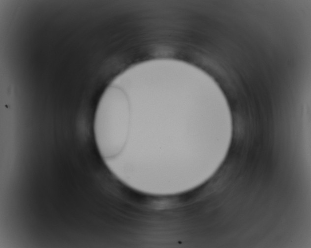 X0000096990370200802080924