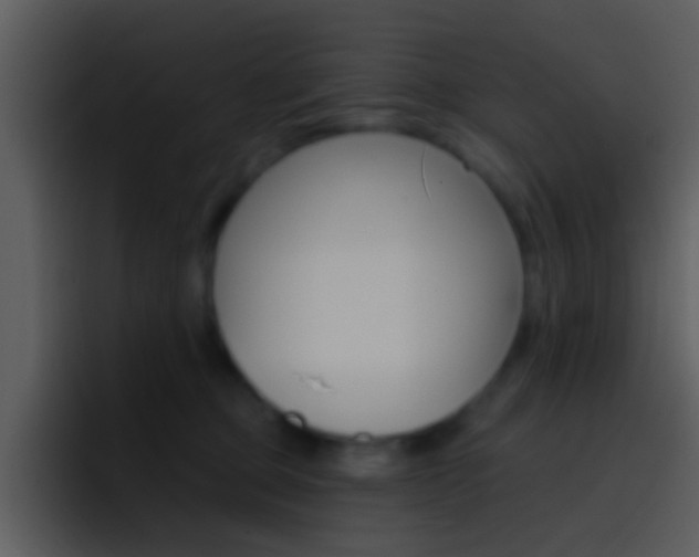 X0000096990373200802080924