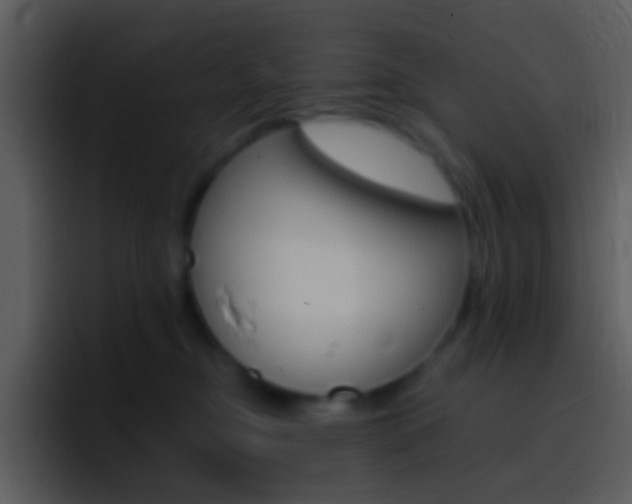 X0000096990374200802080924