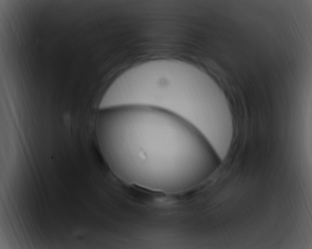 X0000096990376200802080924