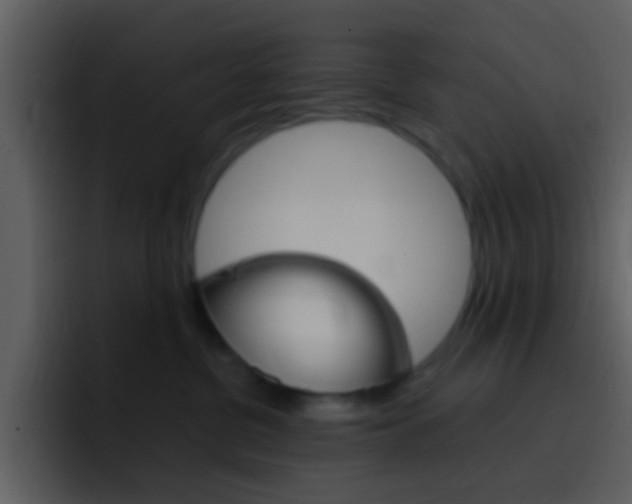 X0000096990380200802080924