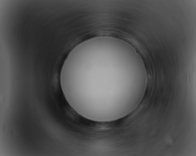 X0000096990381200802080924