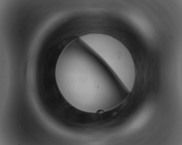 X0000096990383200802080924