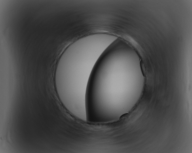 X0000096990385200802080924