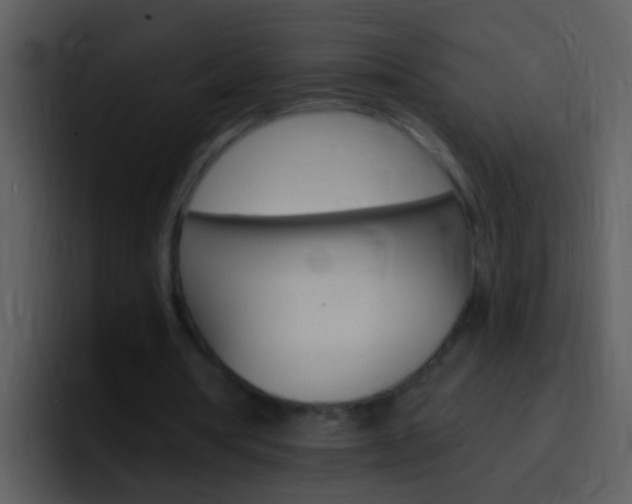 X0000096990386200802080924
