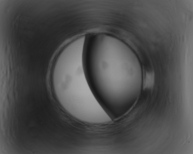 X0000096990387200802080924