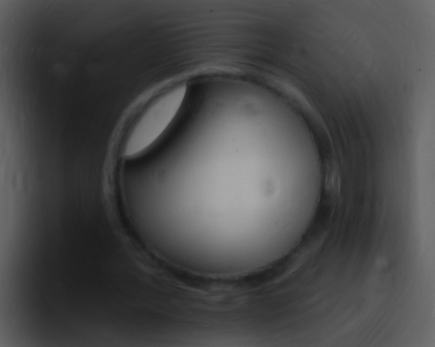 X0000096990388200802080924