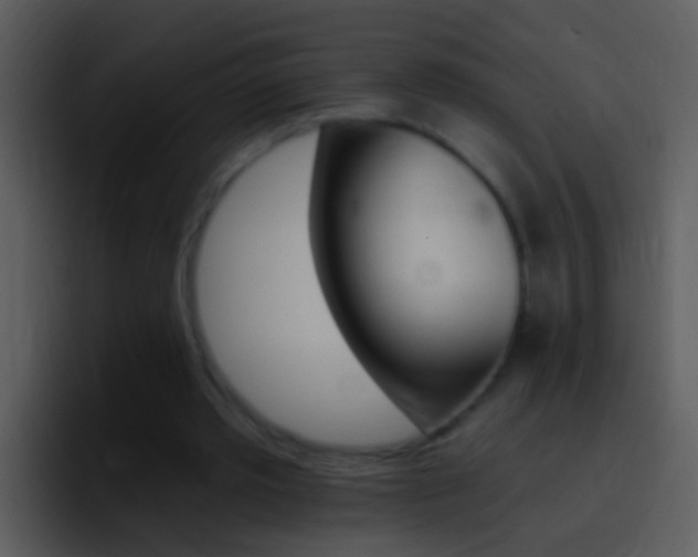 X0000096990389200802080923
