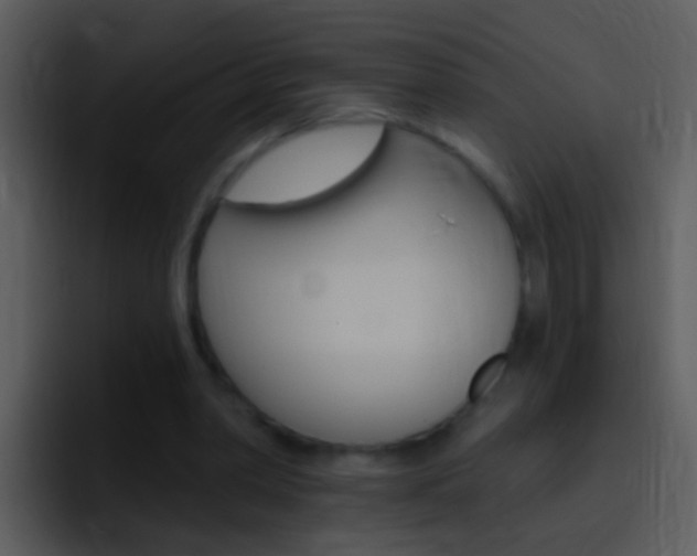 X0000096990390200802080923