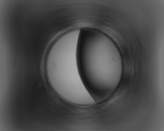 X0000096990391200802080923