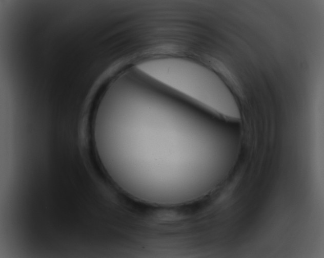 X0000096990392200802080923
