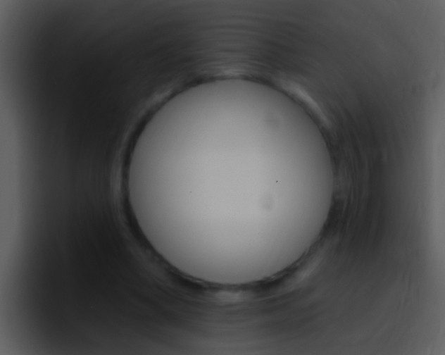 X0000096990394200802080923