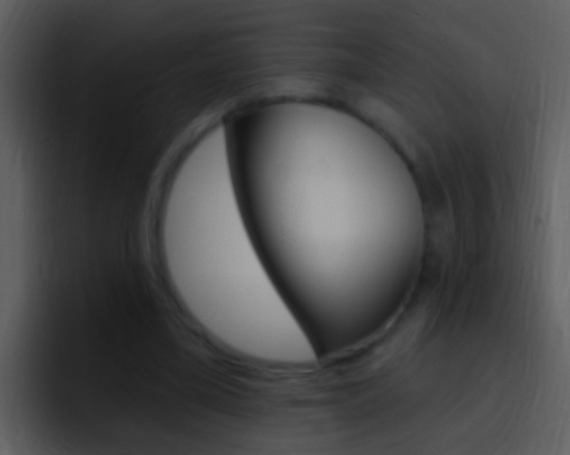 X0000096990395200802080923