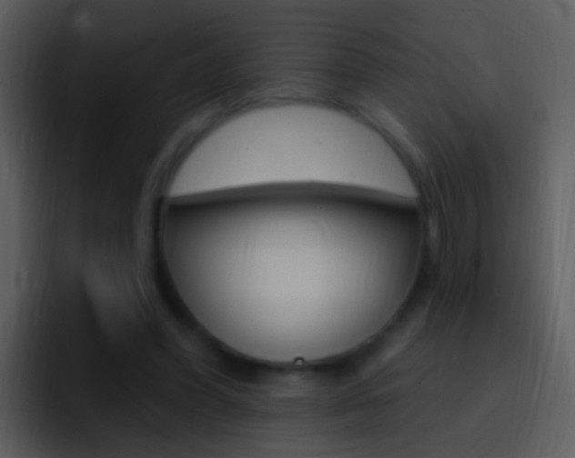 X0000096990396200802080923
