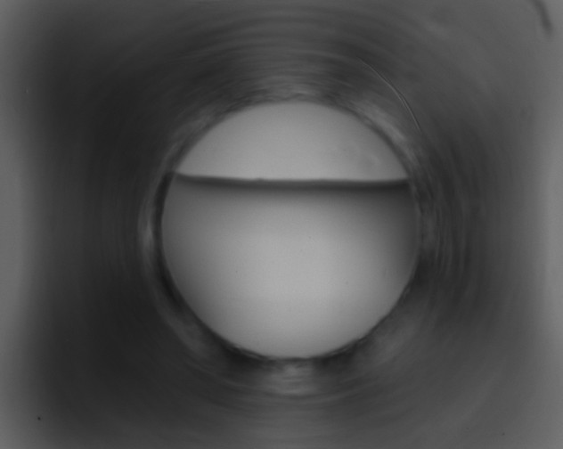 X0000096990398200802080923