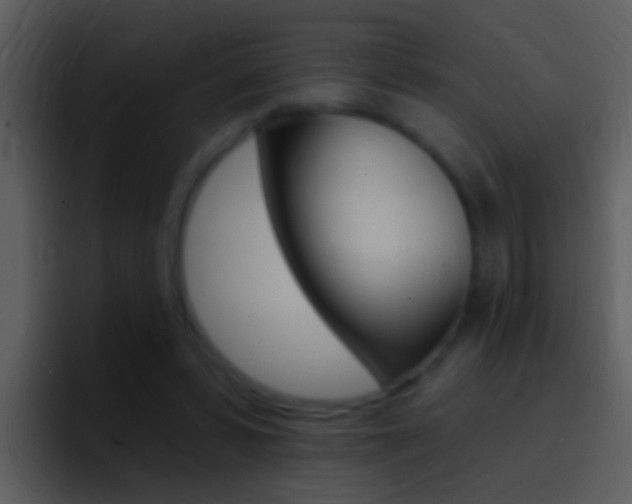 X0000096990399200802080923