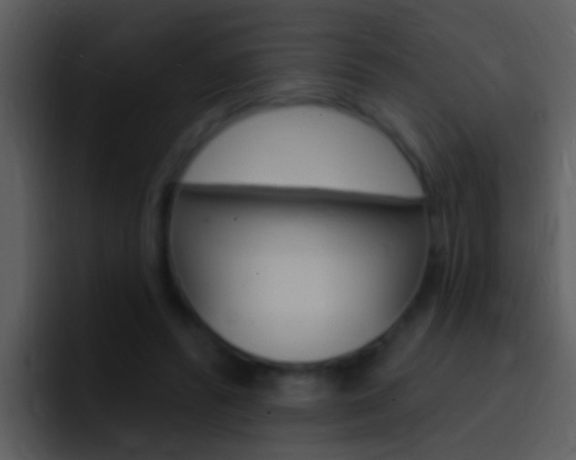 X0000096990400200802080923