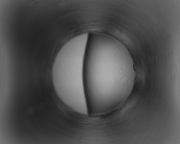 X0000096990401200802080923