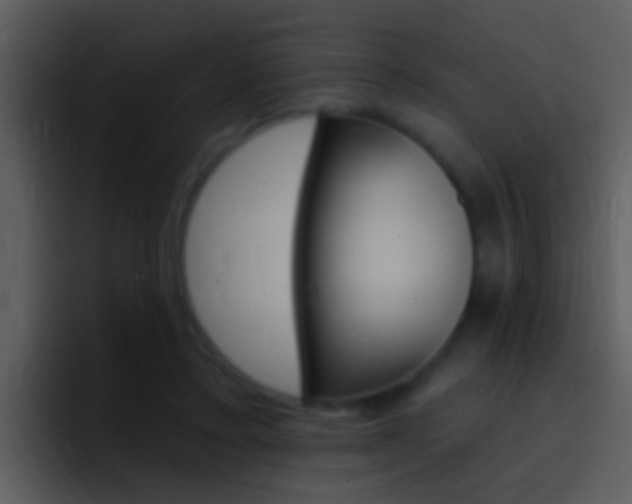 X0000096990403200802080923