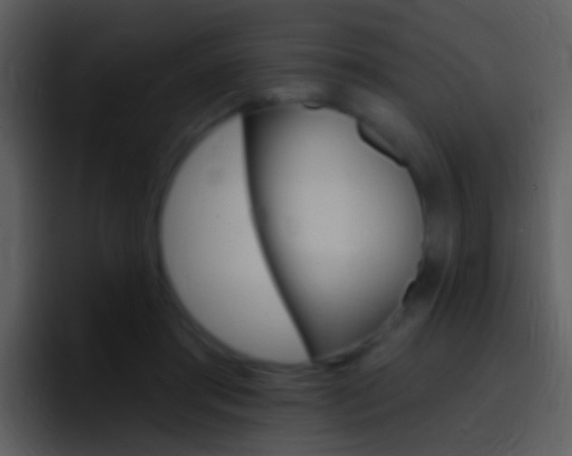 X0000096990405200802080923