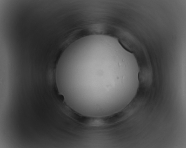 X0000096990409200802080923