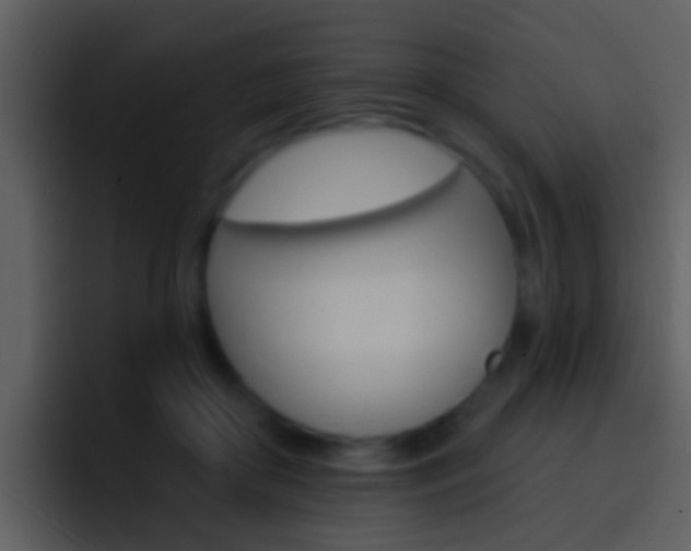 X0000096990410200802080923