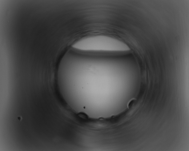 X0000096990412200802080923