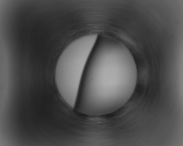 X0000096990417200802080923
