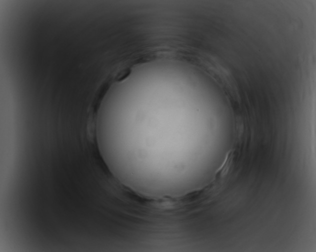 X0000096990419200802080923