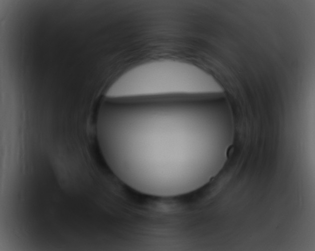 X0000096990420200802080923