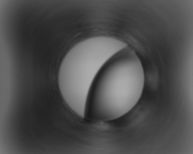 X0000096990421200802080923