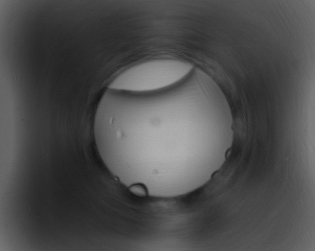 X0000096990422200802080923