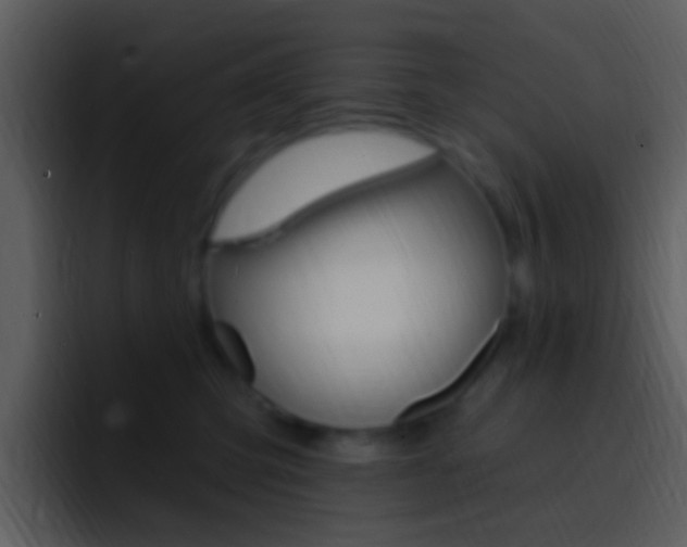 X0000096990423200802080923