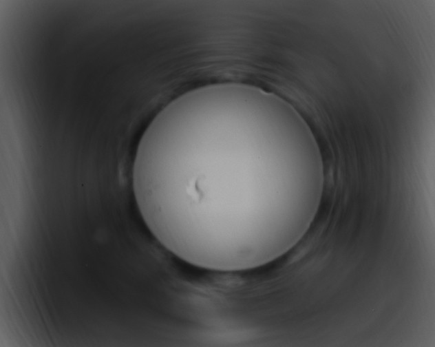 X0000096990424200802080923