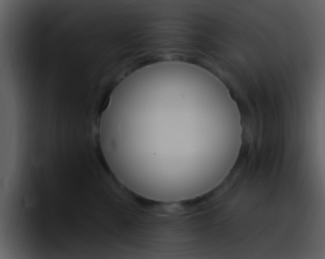 X0000096990427200802080923