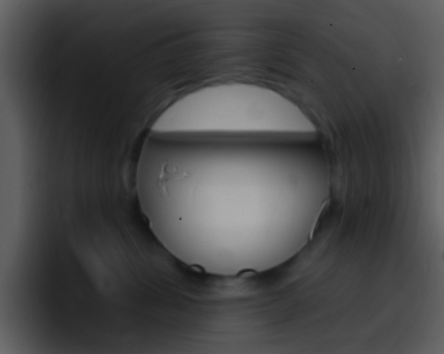 X0000096990428200802080923