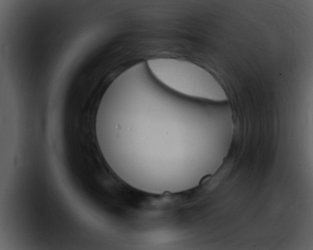 X0000096990430200802080923