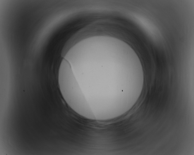 X0000096990431200802080923