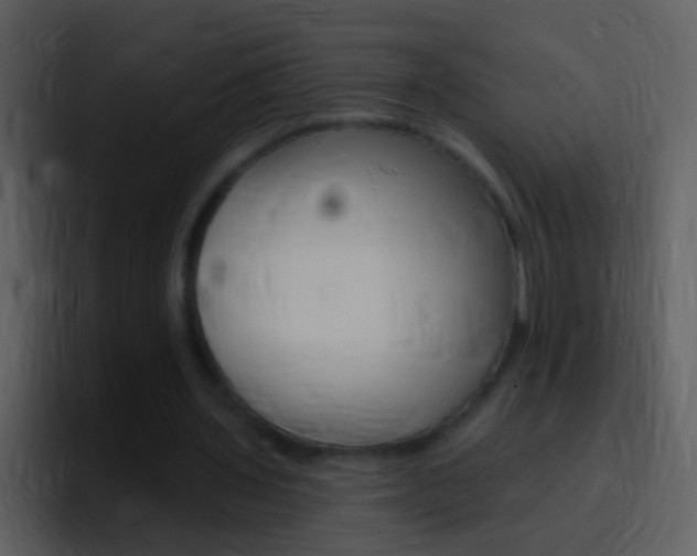 X0000096990435200802080922