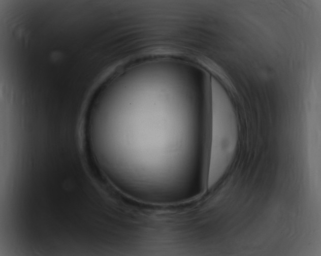 X0000096990436200802080922