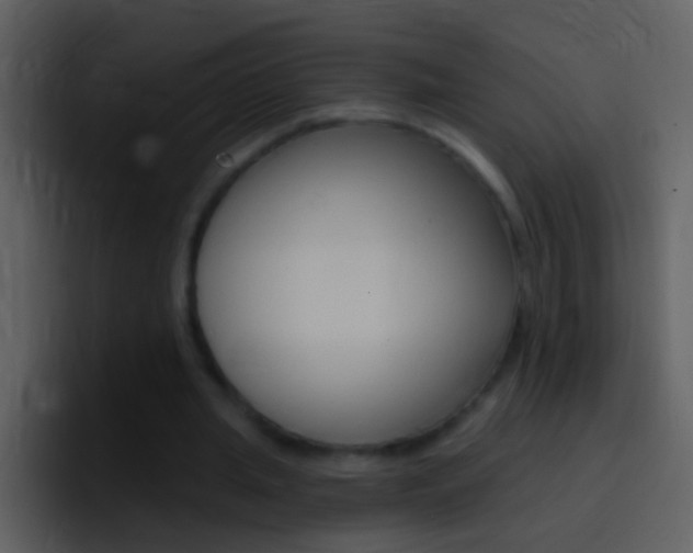 X0000096990437200802080922