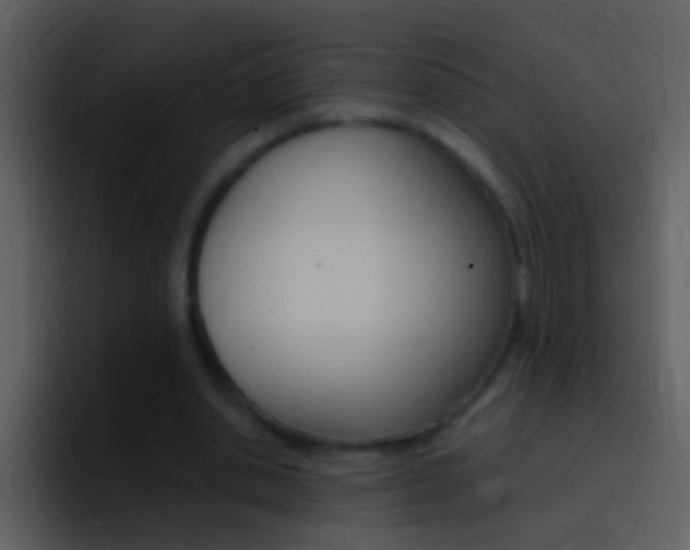 X0000096990438200802080922