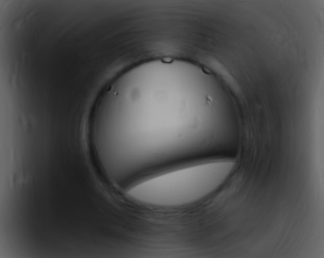 X0000096990439200802080922
