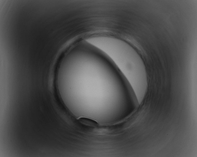 X0000096990440200802080922