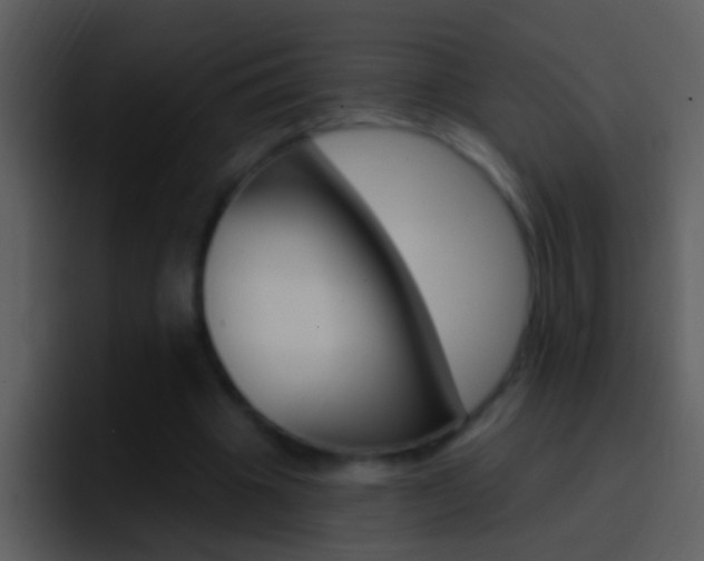 X0000096990441200802080922
