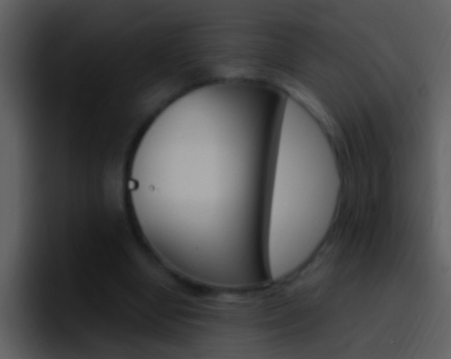 X0000096990442200802080922